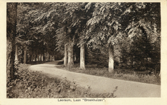 11100 Gezicht in een laan met loofbomen op de buitenplaats Broekhuizen te Leersum.